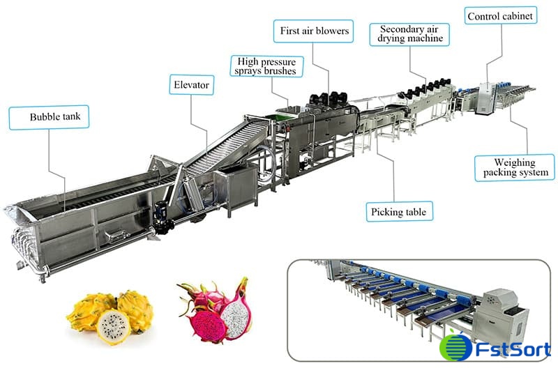 images/1681456311164dragon fruit grader.jpg